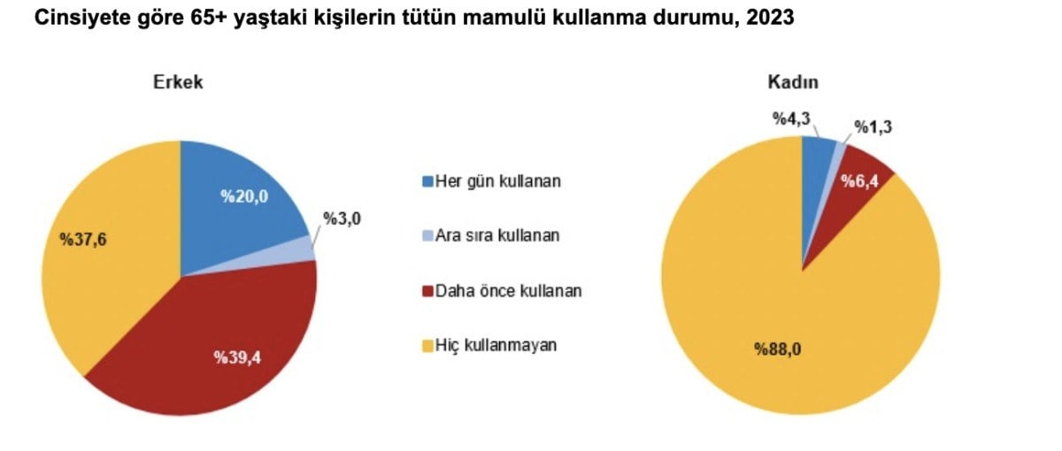 1711257284 615 Turkiyenin yasli profili cikartildi